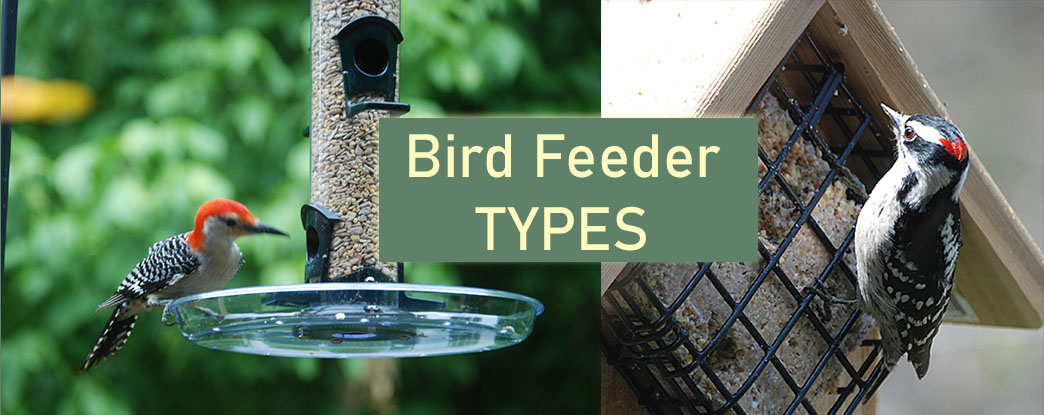 Bird Feeder Types