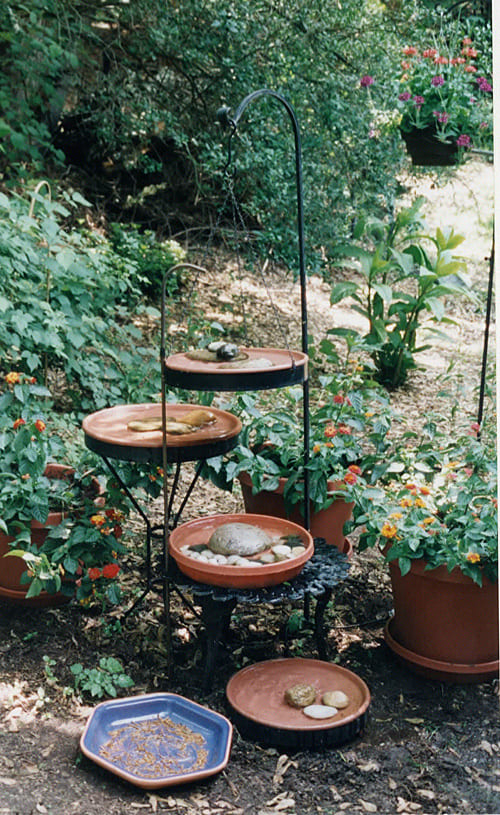birdbath birdbath