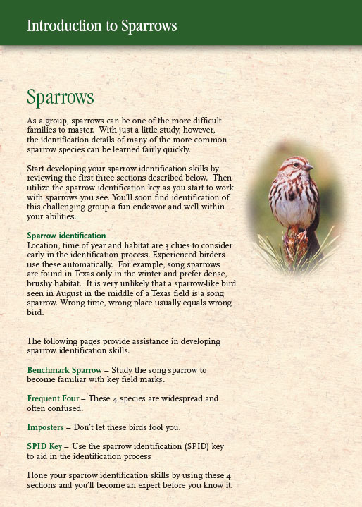 sparrows introduction