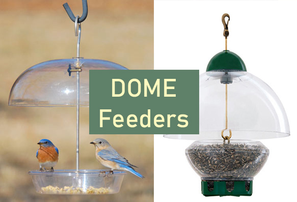 Dome style bird feeder