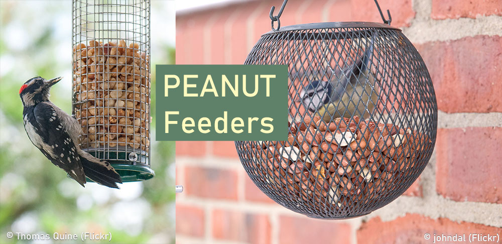 Peanut bird feeders