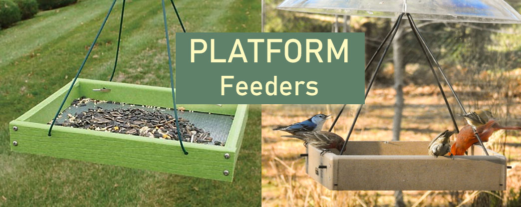 Platform Style bird feeders