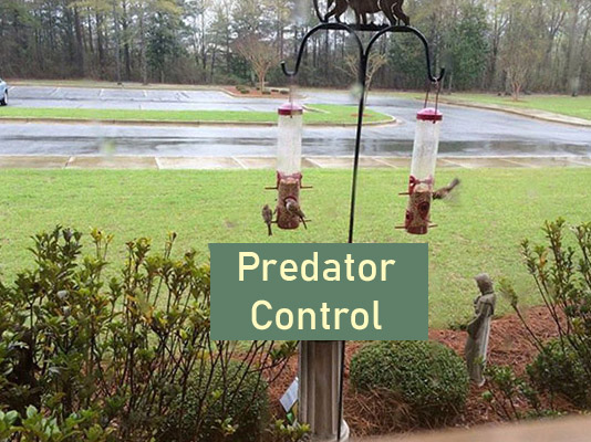 Predator control