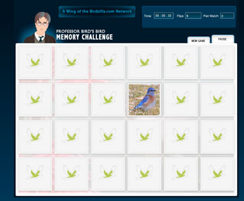 bluebird memory challenge