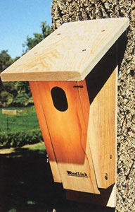 bluebird box