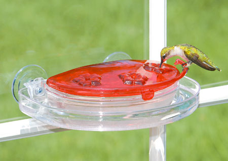 window-mounted hummingbird feeder