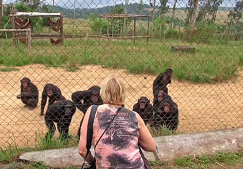 Young-orphans-outdoor-enclosure-Mark--Becci-Crowe