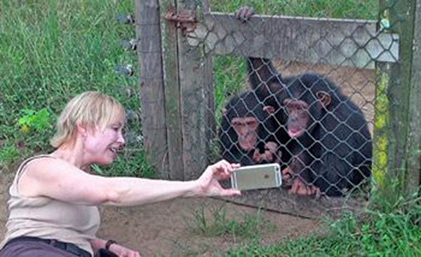 chimps-and-cell-phone