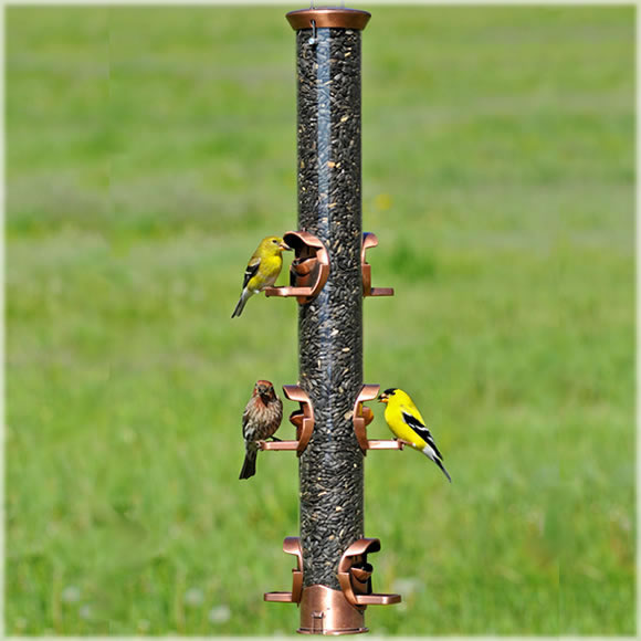 perky pet feeder