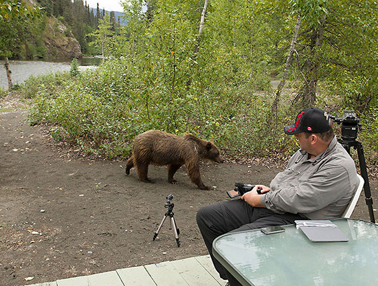 Mark Crowe photographing near-by grizzly bear.