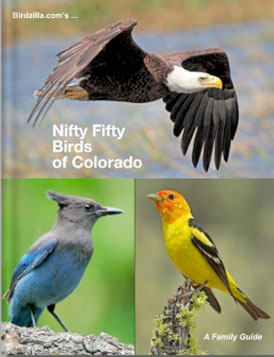 nifty-fifty-birds-of-colorado