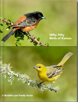 nifty-fifty-birds-of-kansas