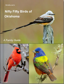 nifty-fifty-birds-of-oklahoma