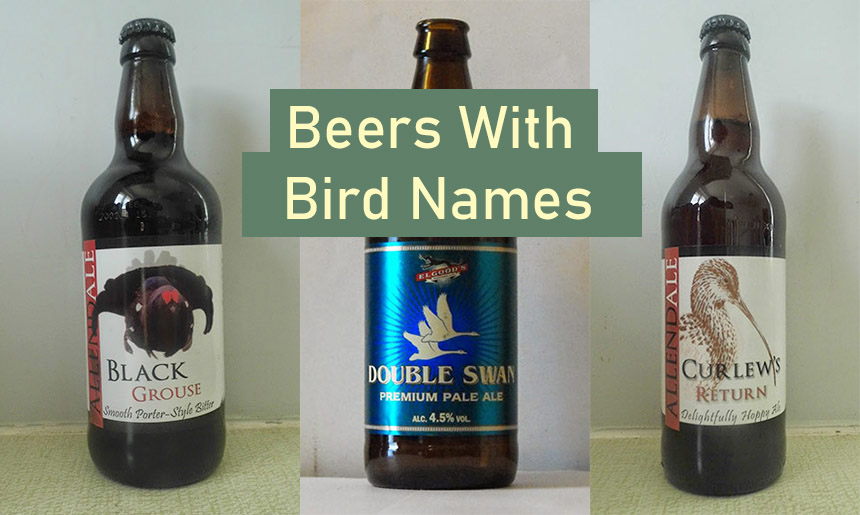 Beers With Bird Names