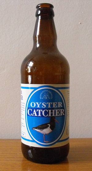 Oystercatcher beer