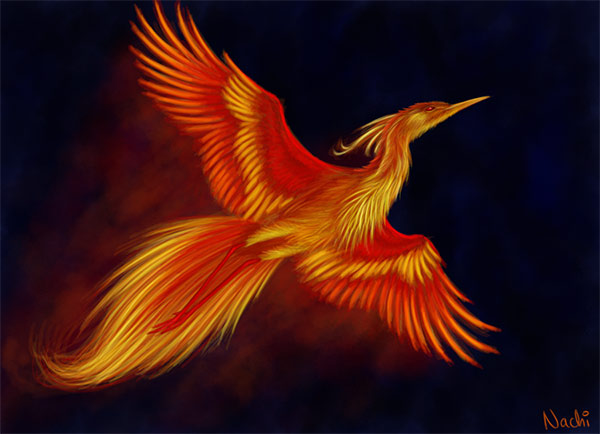 firebird by nachiii-d3g1tpj