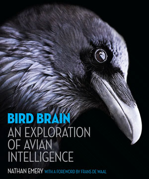 bird brain - the book