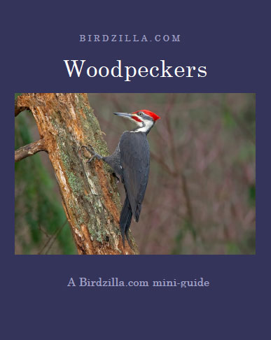 woodpecker guide