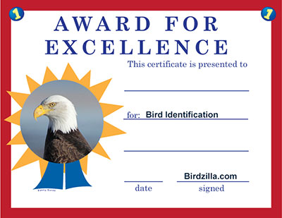 certificate of excellence 400
