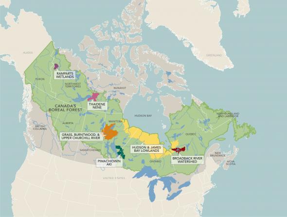 map boreal wetlands