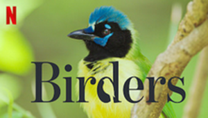 birders