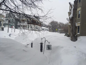Bird feeder in winter