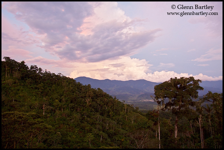 Ecuador rainforests