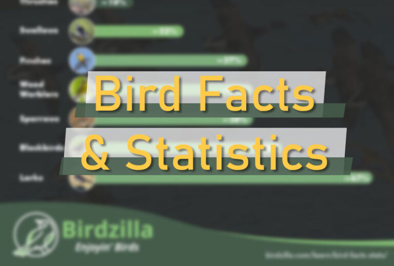 Bird Facts & Stats (With Infographics) [2024] 101+ Facts