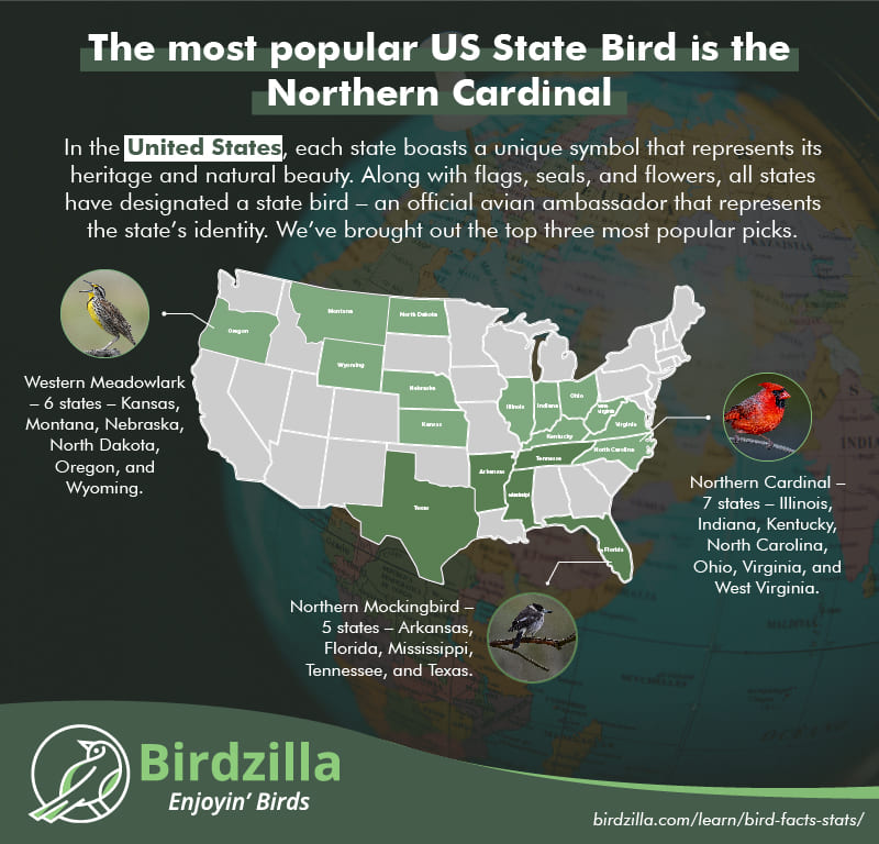 US Most popular state bird