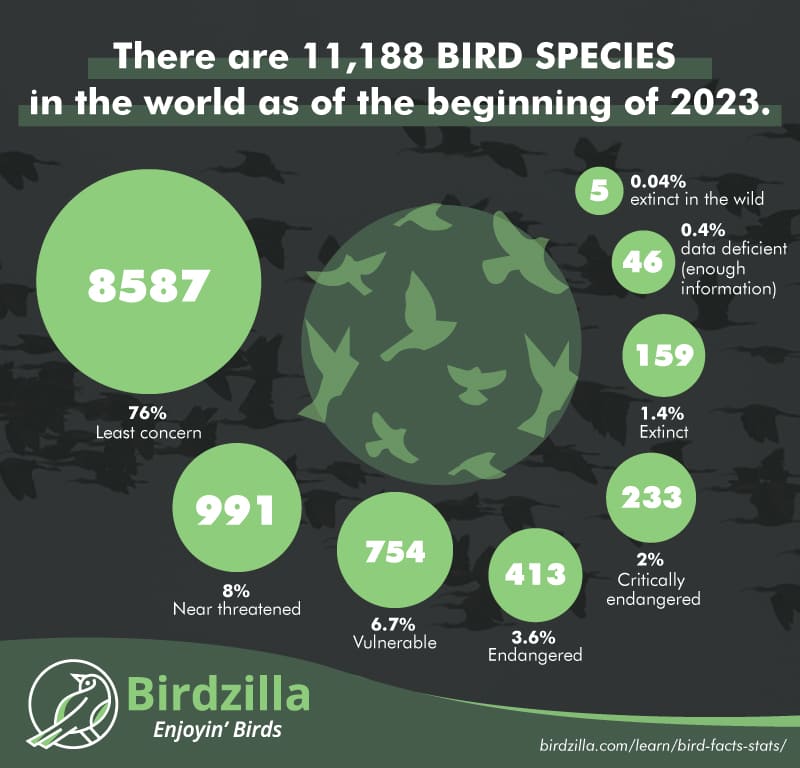 How Many Bird Species are in the world