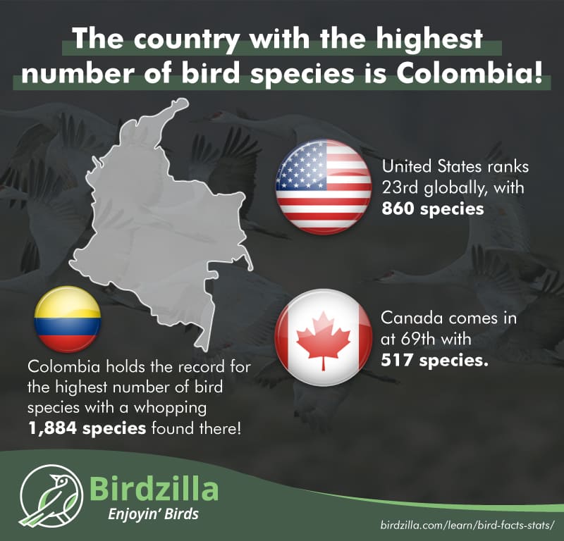 Most bird species are in Colombia