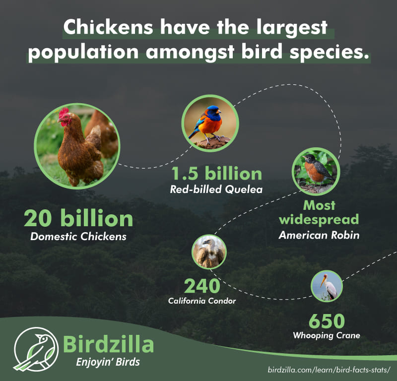 Bird population facts