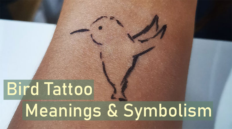 Bird tattoos and the symbolism behind them