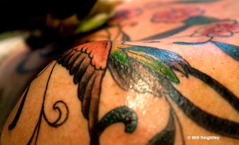 Hummingbird tattoo