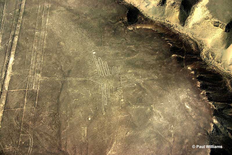 Nazca hummingbird lines