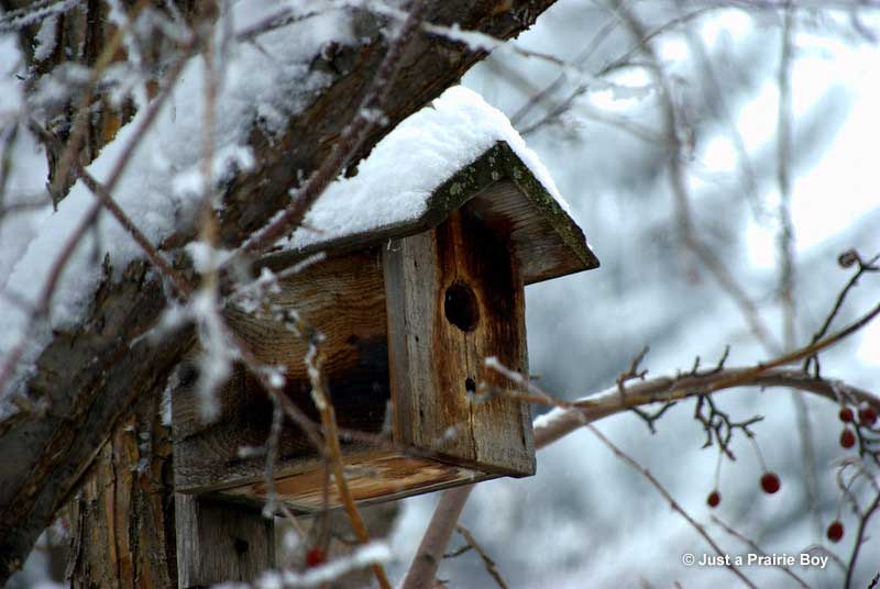 old birdhouse