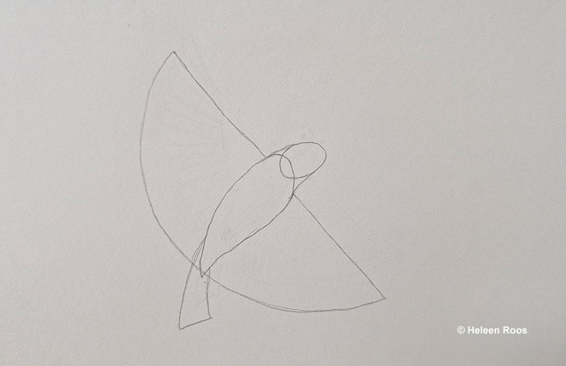 Flying bird's outline